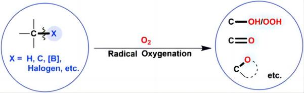 Molecular Oxygen-Mediated Oxygenation Reactions Involving Radicals