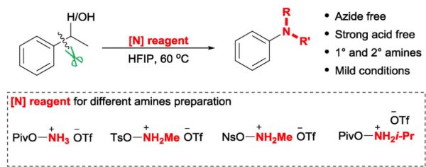 Selective Carbon‐Carbon Bond Amination with Redox‐Active Aminating Reagents: A Direct Approach to Anilines