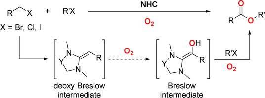 N‐Heterocyclic Carbene Catalyzed Ester Synthesis from Organic Halides through Incorporation of Oxygen Atoms from Air