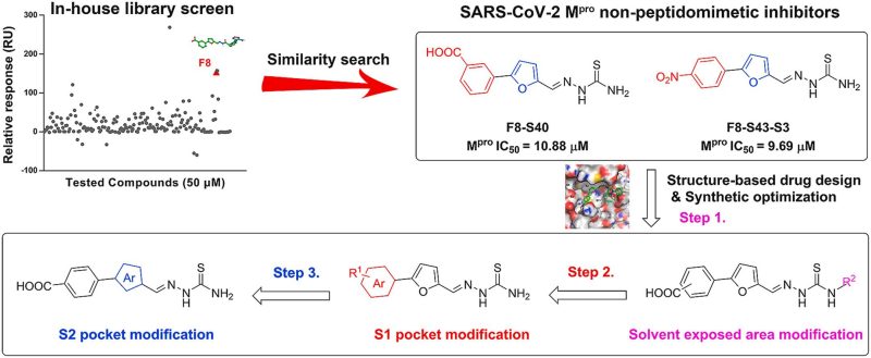 Discovery of 2-(Furan-2-Ylmethylene)Hydrazine-1-Carbothioamide Derivatives as Novel Inhibitors of SARS-CoV-2 Main Protease
