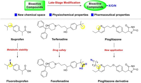 Late-Stage Modification of Bioactive Compounds: Improving Druggability through Efficient Molecular Editing
