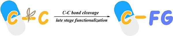Carbon–Carbon Bond Cleavage for Late-Stage Functionalization