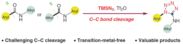 Aminotetrazole Synthesis from Secondary Amides by C–C Bond Nitrogenation