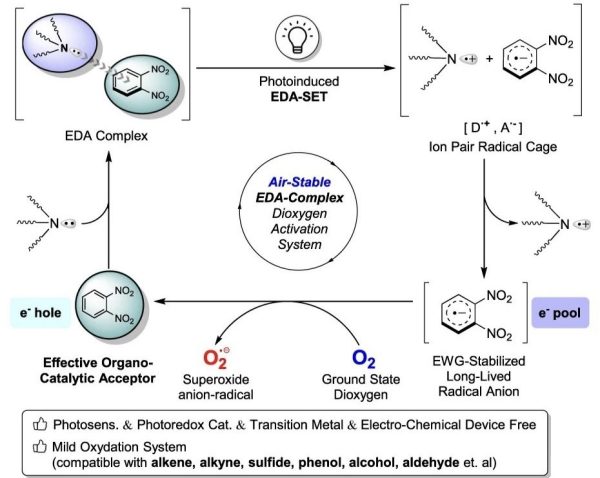 Dioxygen compatible electron donor-acceptor catalytic system and its enabled aerobic oxygenation