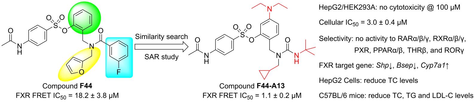 Discovery of novel and selective farnesoid X receptor antagonists through structure-based virtual screening, preliminary structure-activity relationship study, and biological evaluation