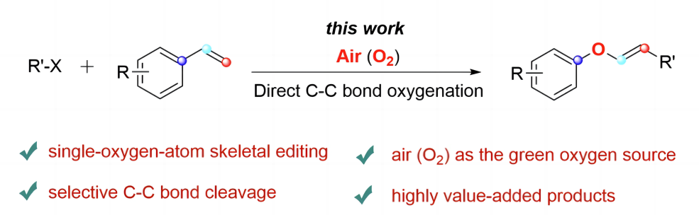 Direct oxygen insertion into C-C bond of styrenes with air